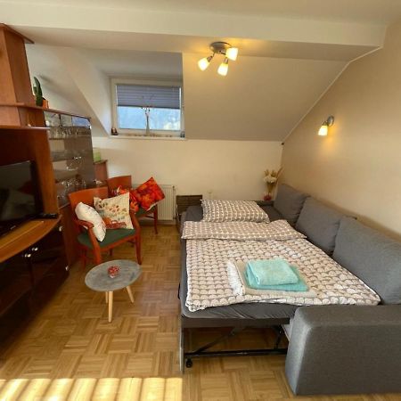 Apartment Kranj - huge terrace, free P, WI - FI, AC Buitenkant foto