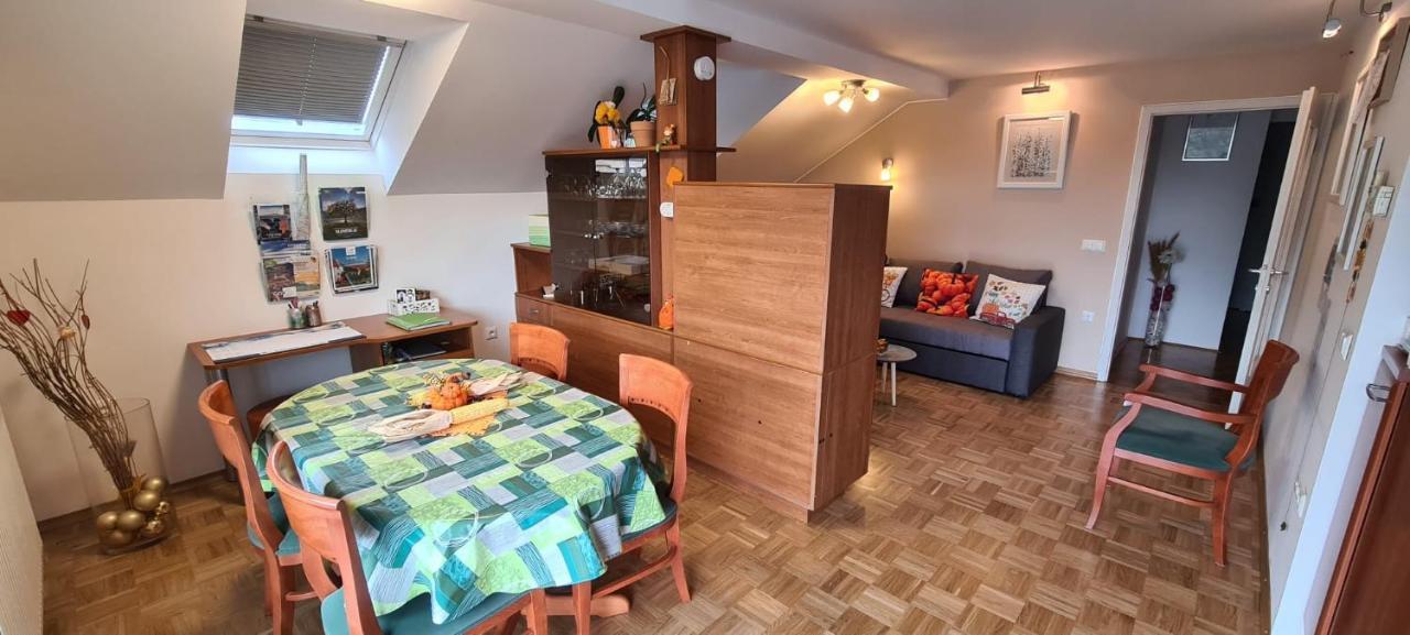Apartment Kranj - huge terrace, free P, WI - FI, AC Buitenkant foto
