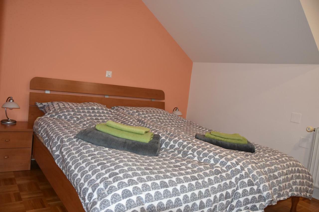Apartment Kranj - huge terrace, free P, WI - FI, AC Buitenkant foto